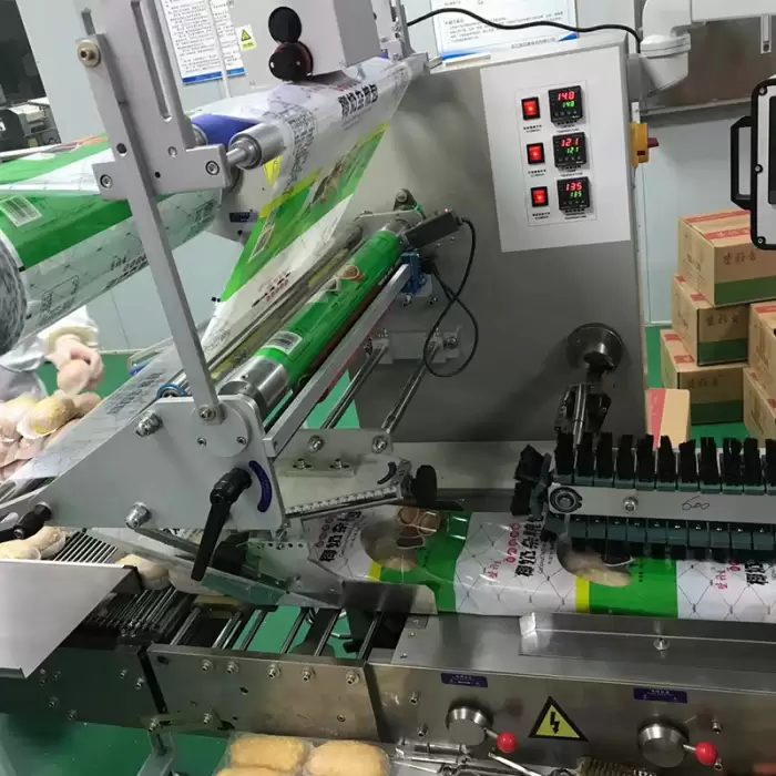 Customized Horizontal Food Packing Machine Fully Automatic — image 5