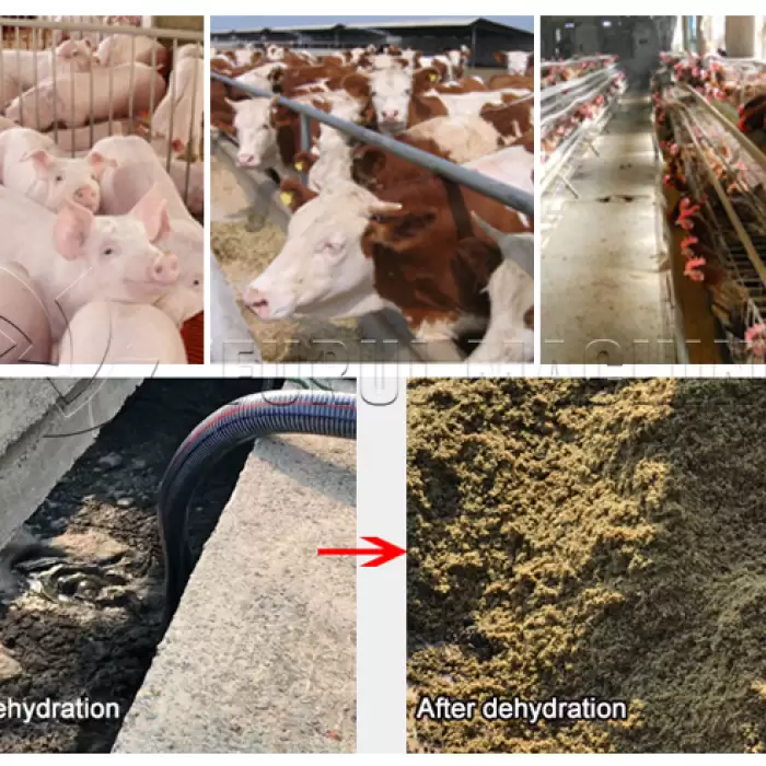 Solid Liquid Waste Poultry Manure Treatment Machine — image 6