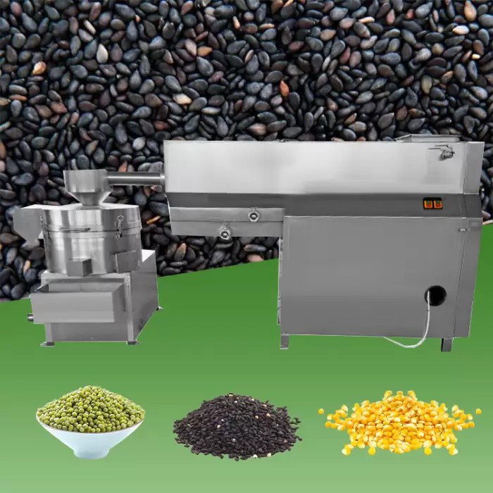 Beans Seed Washing and Drying Machine — image 4
