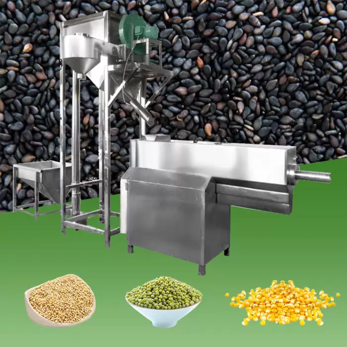 Beans Seed Washing and Drying Machine — image 5