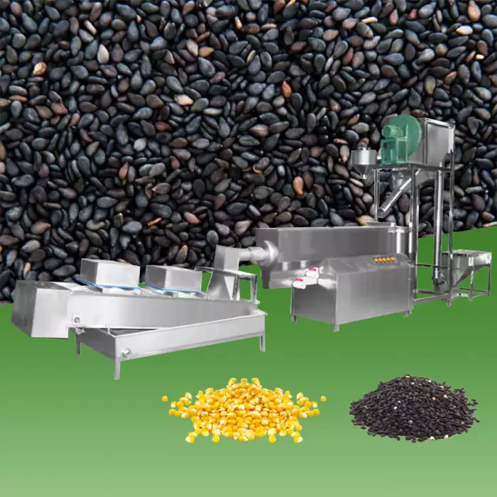 Beans Seed Washing and Drying Machine — image 6