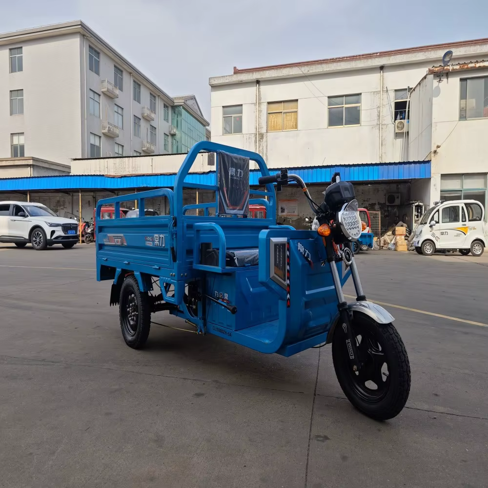 Heavy Loading Electric Cargo Tricycle with 1.6x1m Carriage — image 4
