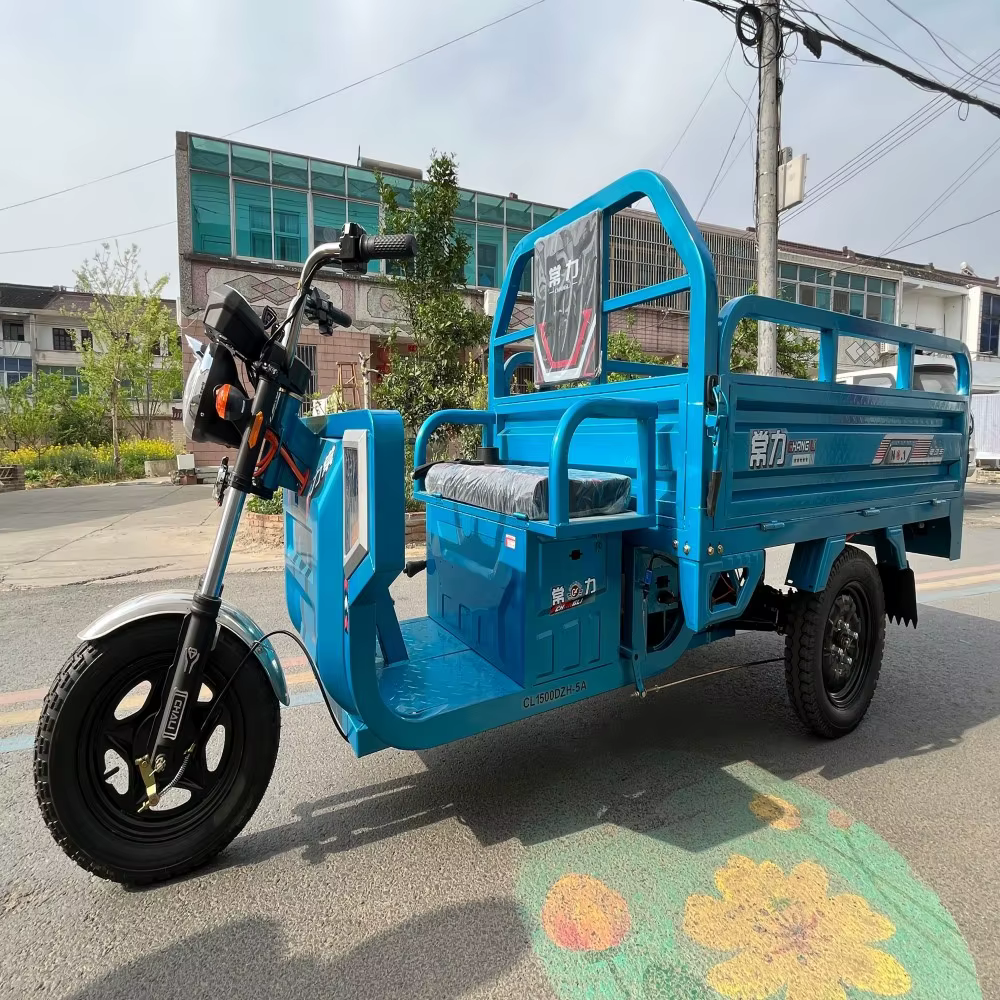 Heavy Loading Electric Cargo Tricycle with 1.6x1m Carriage — image 5