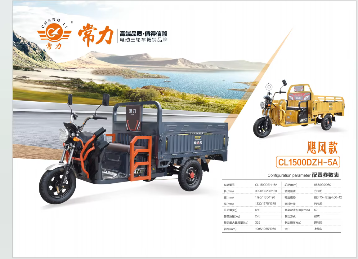 Changli Cargo 1000w Pedal Freight 3-Wheel Electric Tricycle — image 3