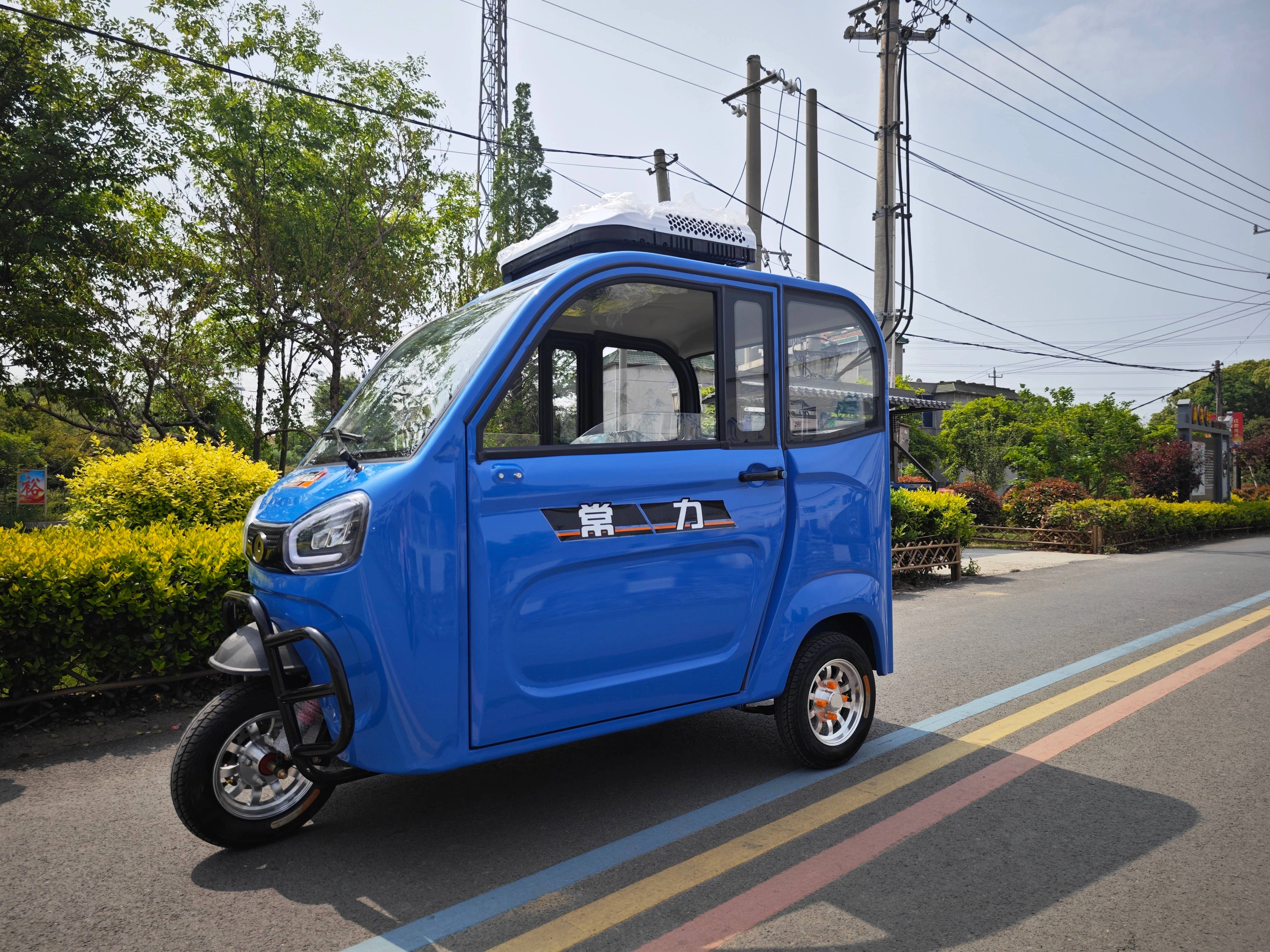 Fully Enclosed Mini Passenger Electric Tricycle — image 5