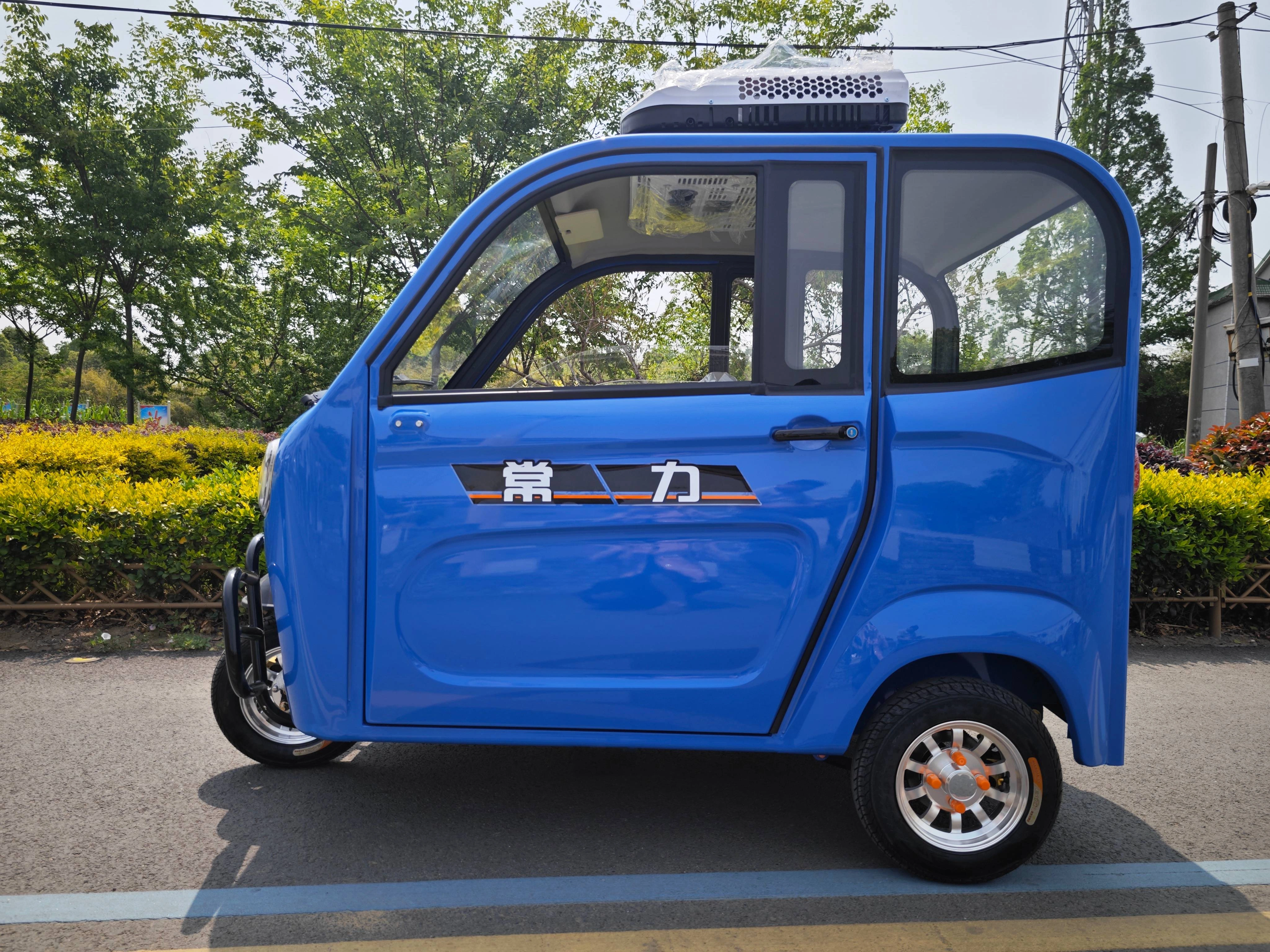 Fully Enclosed Mini Passenger Electric Tricycle — image 6