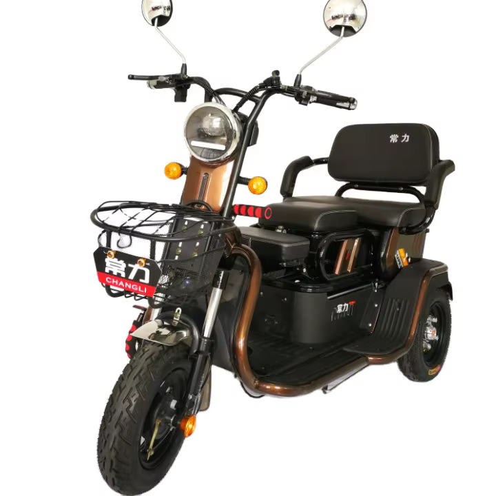 2025 Folding Electric Tricycle with Pedals — image 6