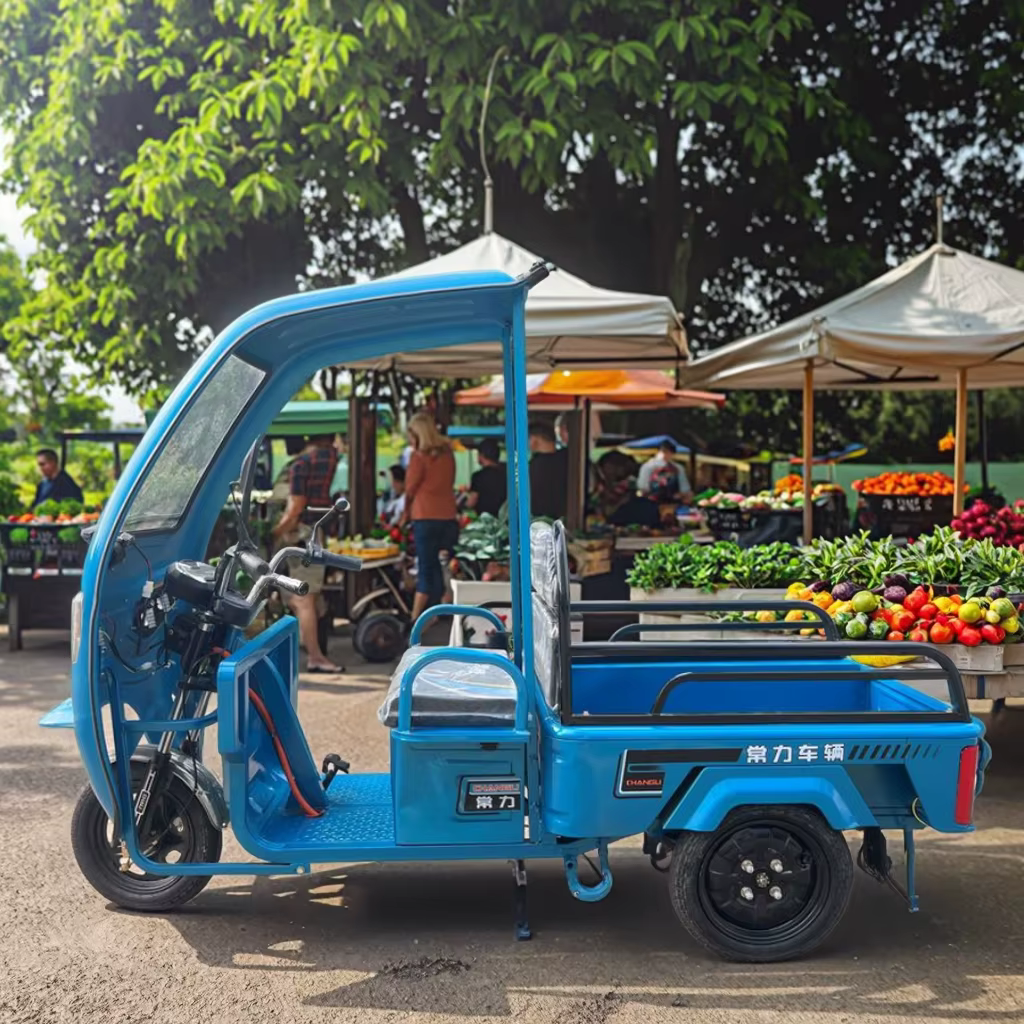 Changli Electric Cargo Tricycle with Open Cabin 60V — image 3