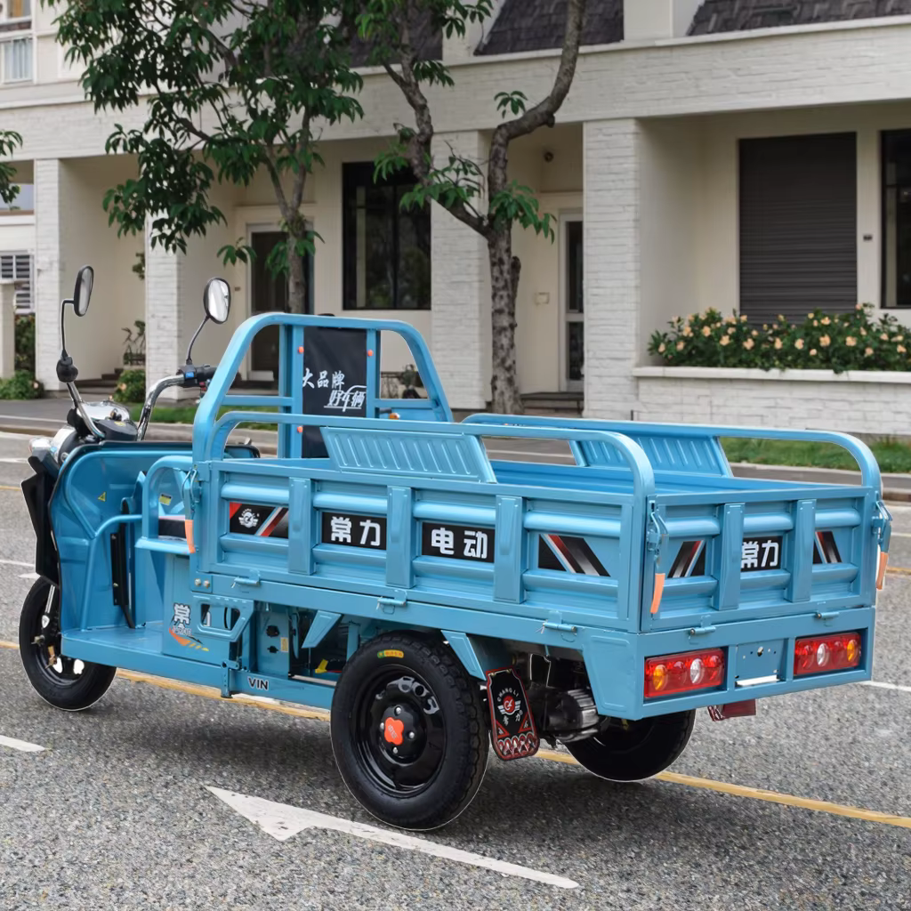 Chang Li New Energy Motorized Electric Tricycle for Adults — image 3