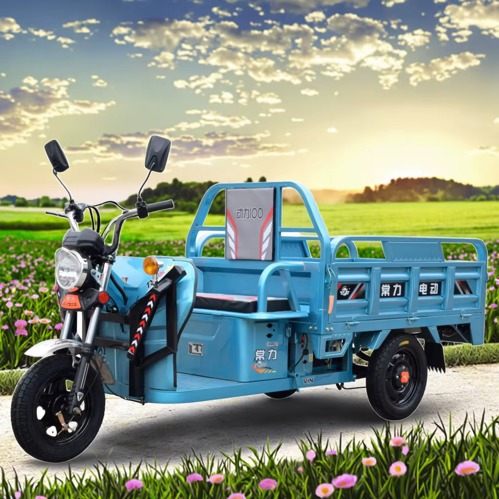 Chang Li New Energy Motorized Electric Tricycle for Adults — image 5