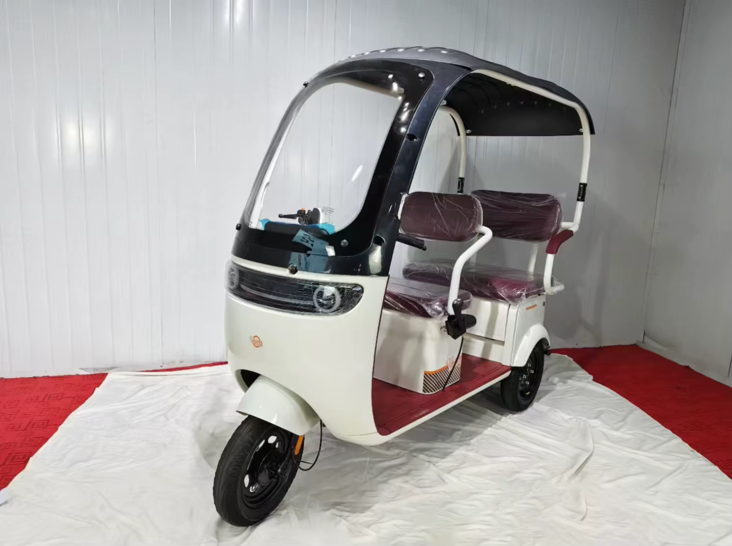 Chang Li Leisure Electric Tricycle — image 5