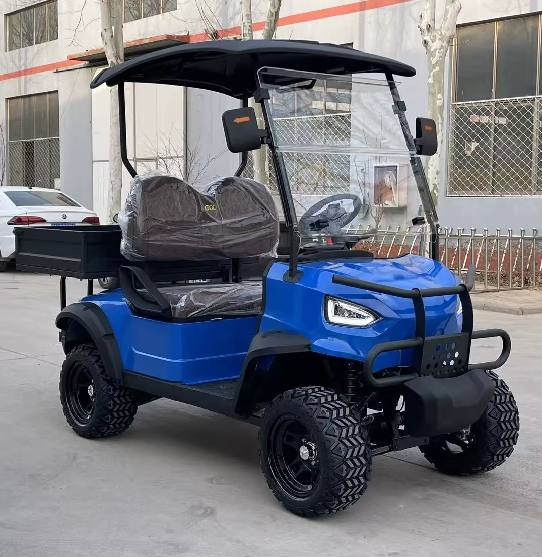 Customizable 2-6 Seat All-Terrain Street Legal Golf Cart — image 3