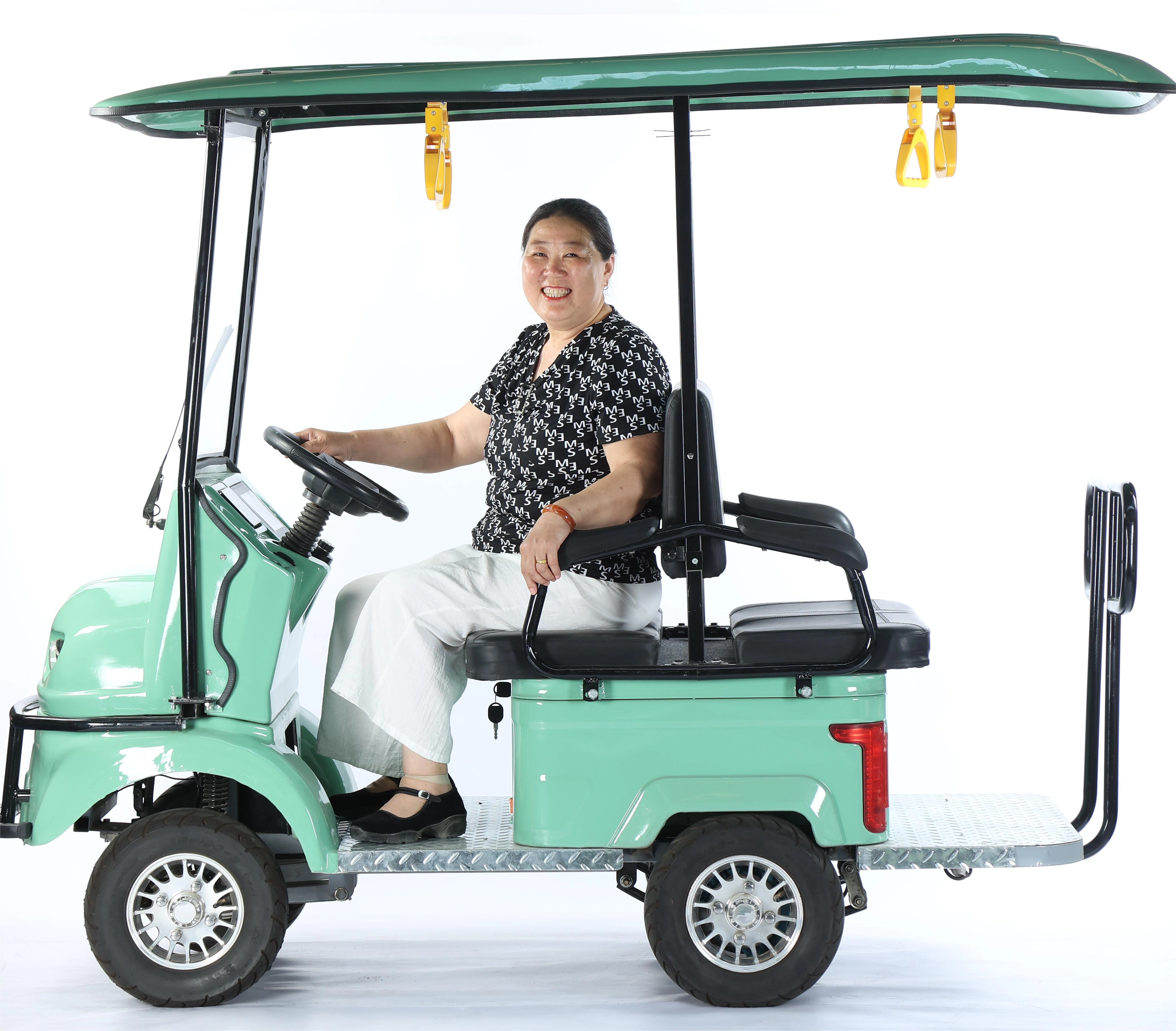 Electric Sightseeing Car — image 4