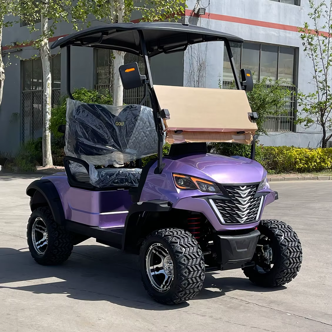 2025 New 60V Electric Scooter Mini Golf Cart — image 5