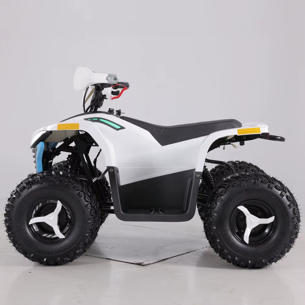 Tao Motor 2023 Latest Design 48V 1600W Teenage Kids ATV Electric — image 3