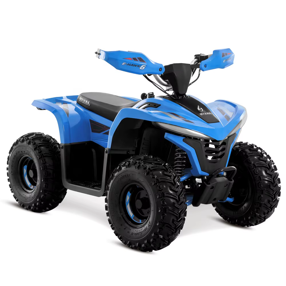 Tao Motor 2023 Latest Design Adult and Teenage ATV Electric ATV 4x4 — image 2
