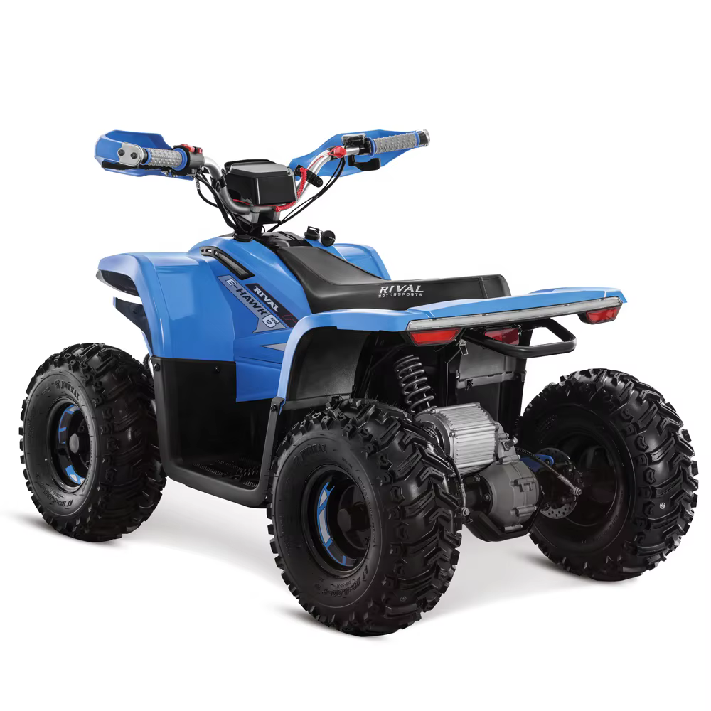 Tao Motor 2023 Latest Design Adult and Teenage ATV Electric ATV 4x4 — image 6