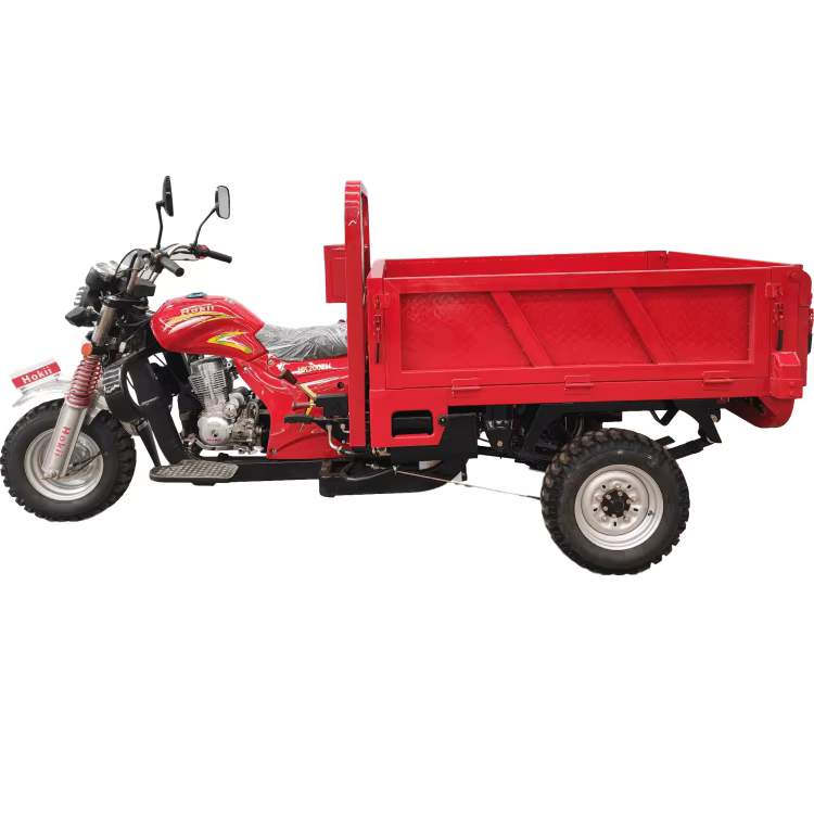200cc Gasoline Three Wheel Adult Tricycle — image 4