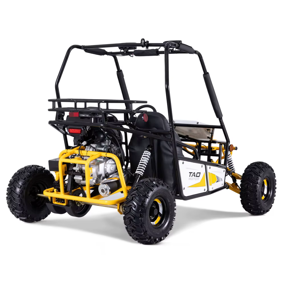 Tao Motor 2023 New Design Buggy 125cc Go Kart for Adults — image 3