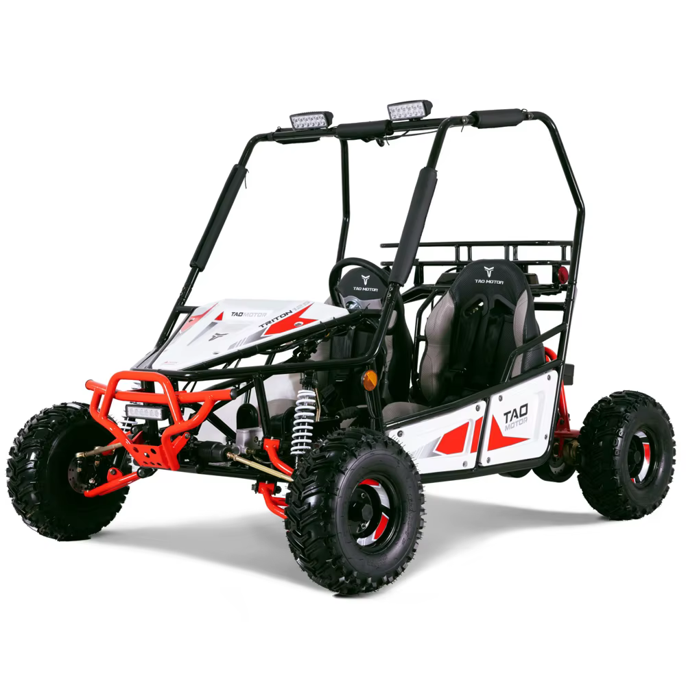 Tao Motor 2023 New Design Buggy 125cc Go Kart for Adults — image 4