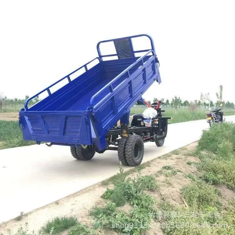 New Style 250cc Passenger and Cargo Tricycle Motorcycle — image 2