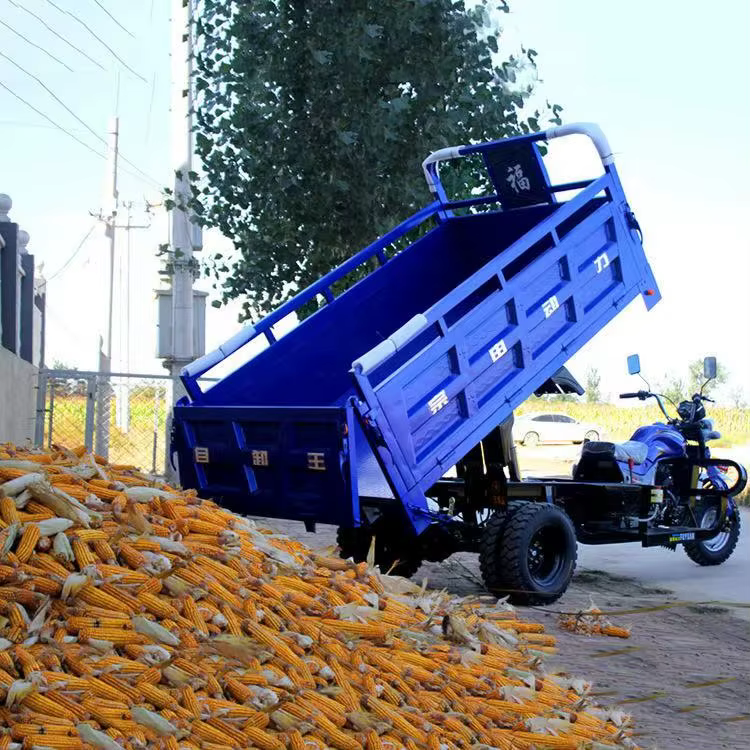 New Style 250cc Passenger and Cargo Tricycle Motorcycle — image 3