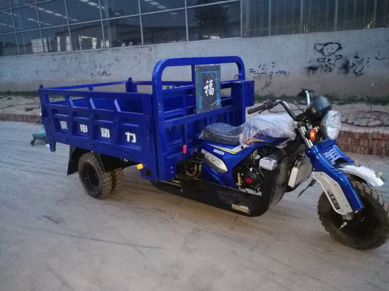 New Style 250cc Passenger and Cargo Tricycle Motorcycle — image 6