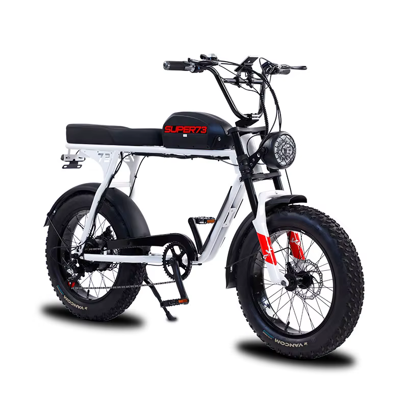 S3 Top Quality 1500W 48V Lithium Battery High Power E Bike — image 6