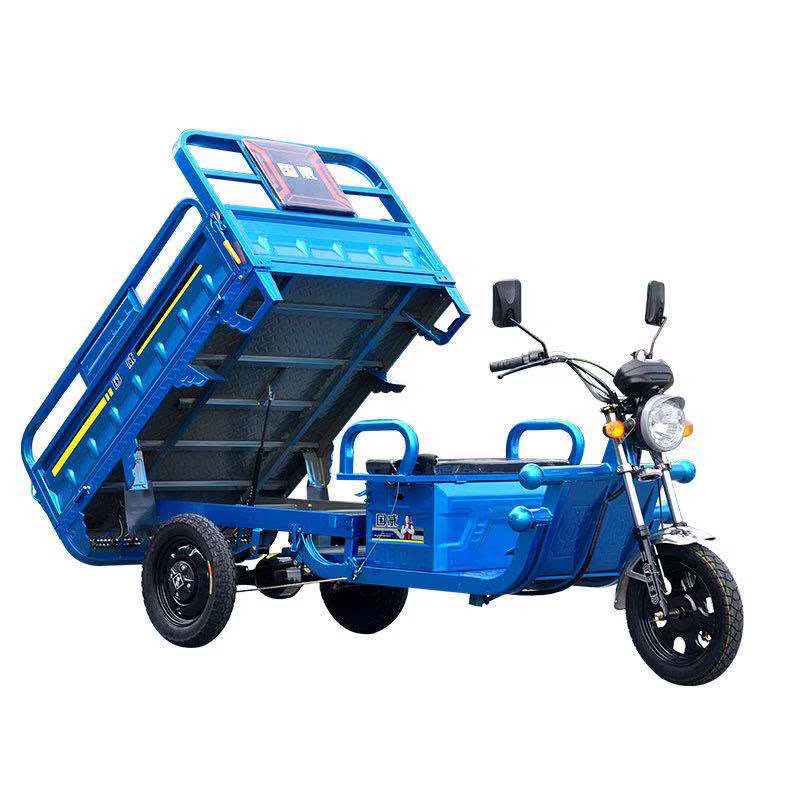 1000W Electric Cargo Tricycle — image 2