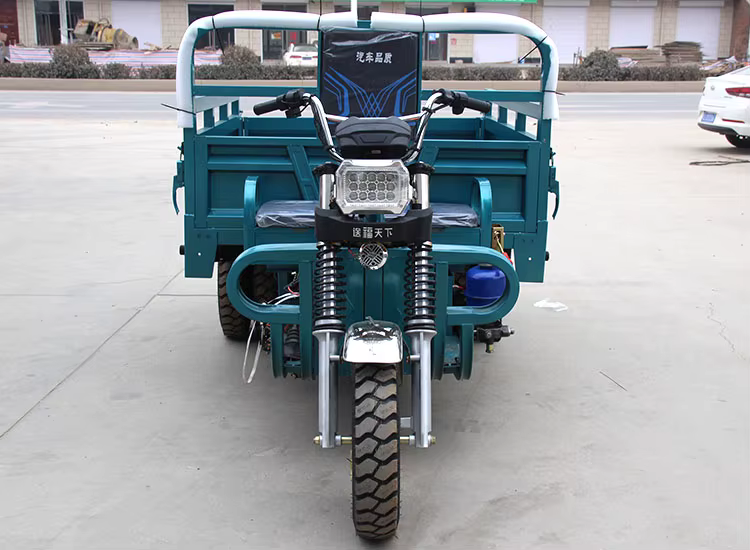 1000W Electric Cargo Tricycle — image 4