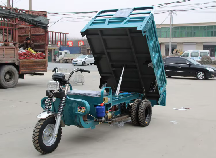 1000W Electric Cargo Tricycle — image 5