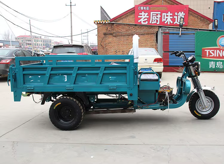1000W Electric Cargo Tricycle — image 6
