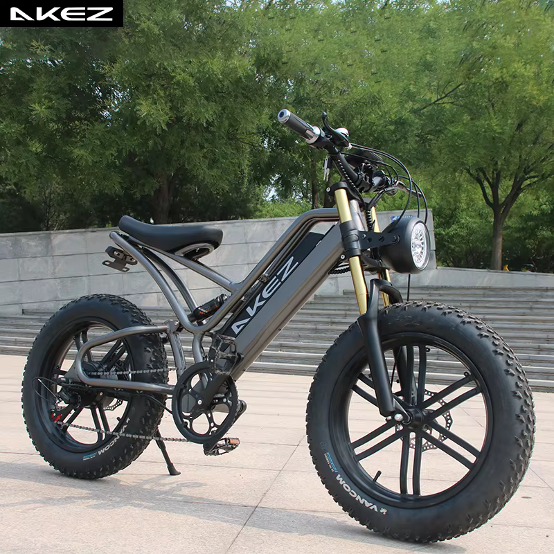 High-End OEM 27.5/29 Inch 36V 250W/500W Mid Drive Motor Mountain Electric Bike — image 3