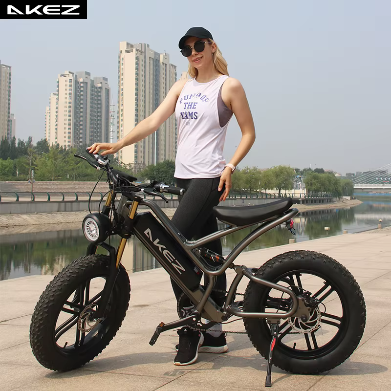 High-End OEM 27.5/29 Inch 36V 250W/500W Mid Drive Motor Mountain Electric Bike — image 5