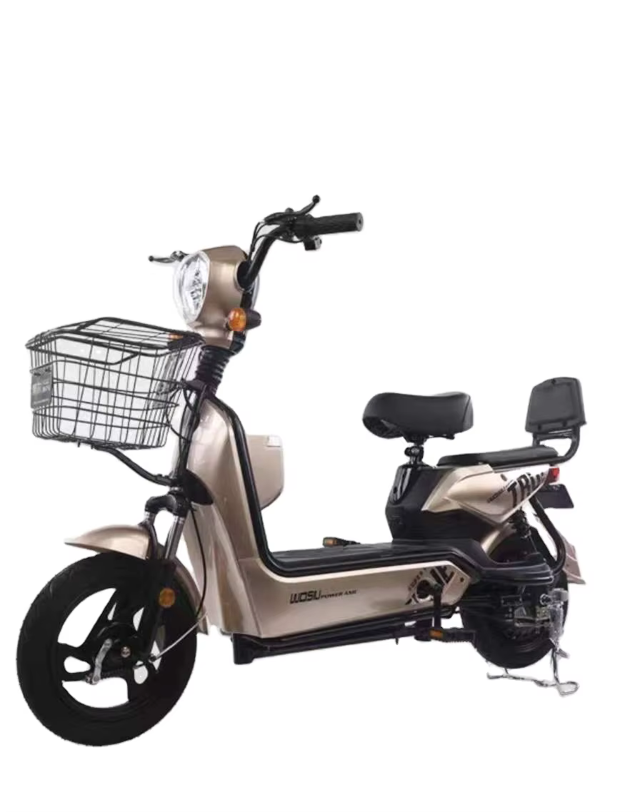 China Low Price 500W 48V Electric Bike — image 2
