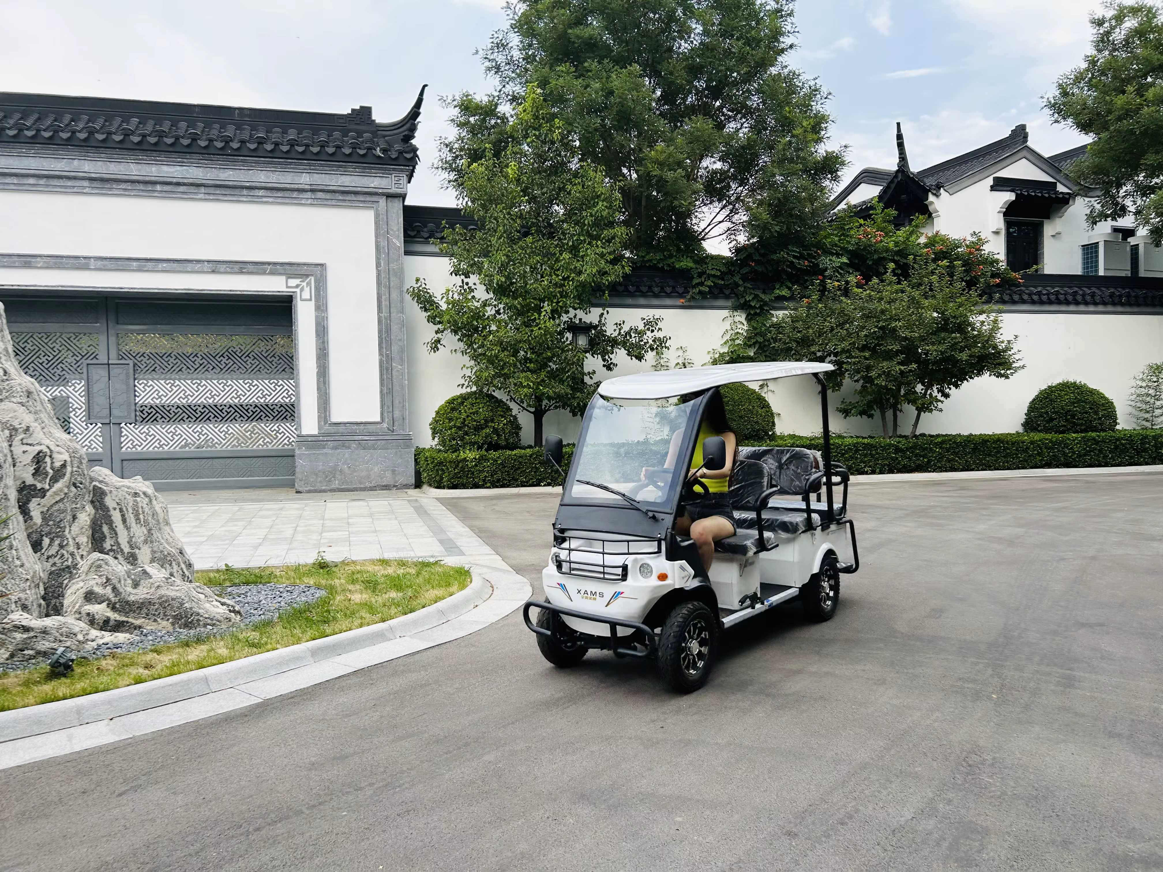6-Seater Electric Golf Cart Buggy with Fat Tires — image 5