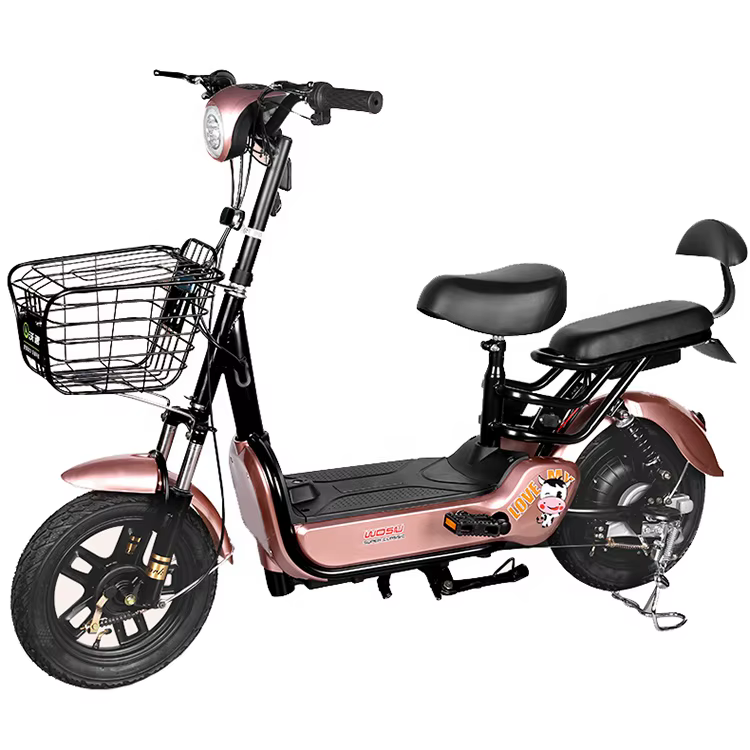 Two-Seater Electric Bicycle with 350W Motor and 12Ah Battery — image 2