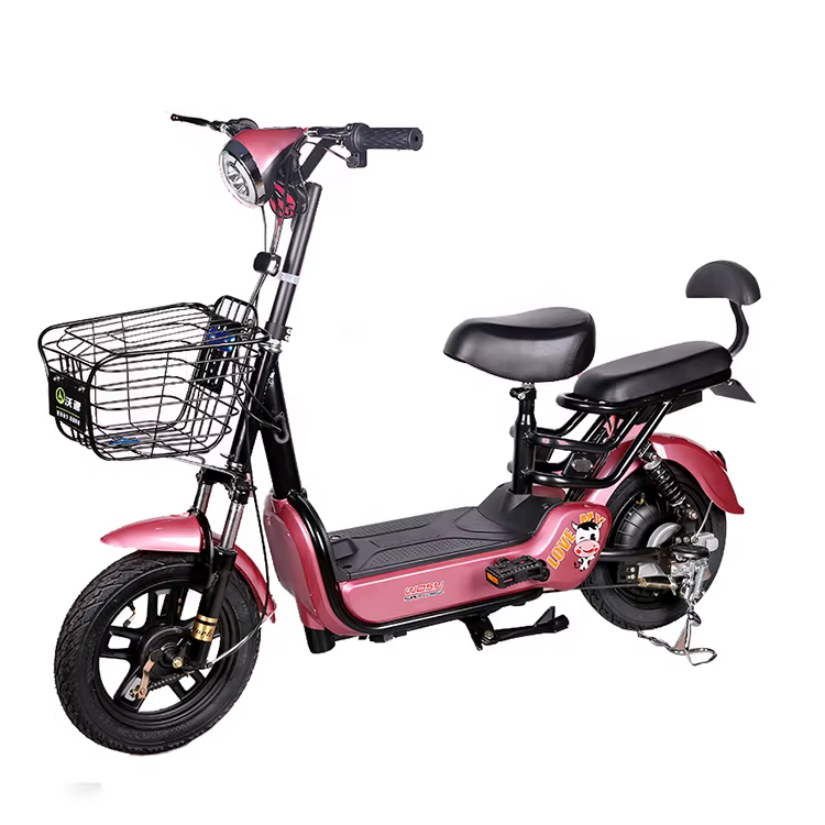 Two-Seater Electric Bicycle with 350W Motor and 12Ah Battery — image 5