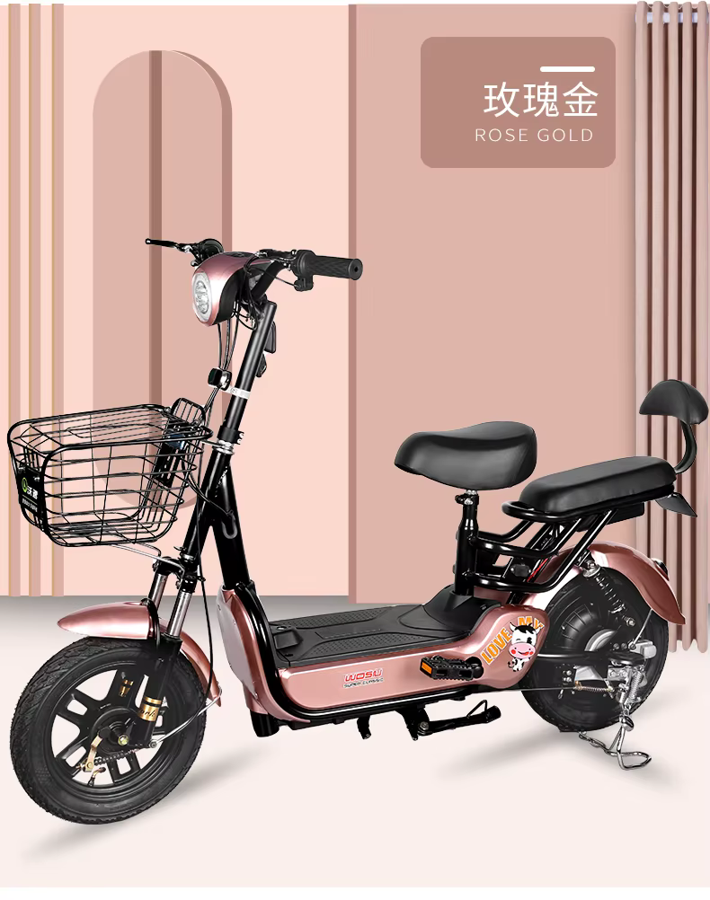 48V 12A Electric Bicycle with 350W Motor — image 6