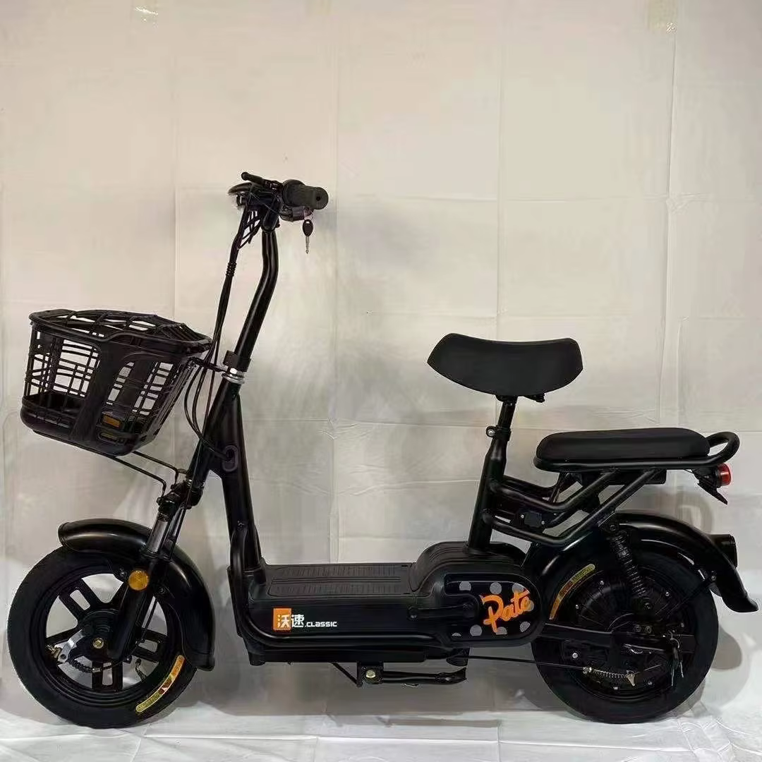 Factory Price 2-Seat City E-Bike 350W — image 3