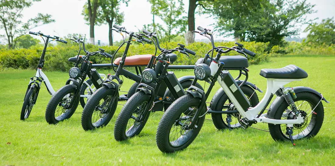 Good And Cheap 20 Inch Thick Tire 500W 48V 12Ah Lithium Battery Electric Bicycle — image 5