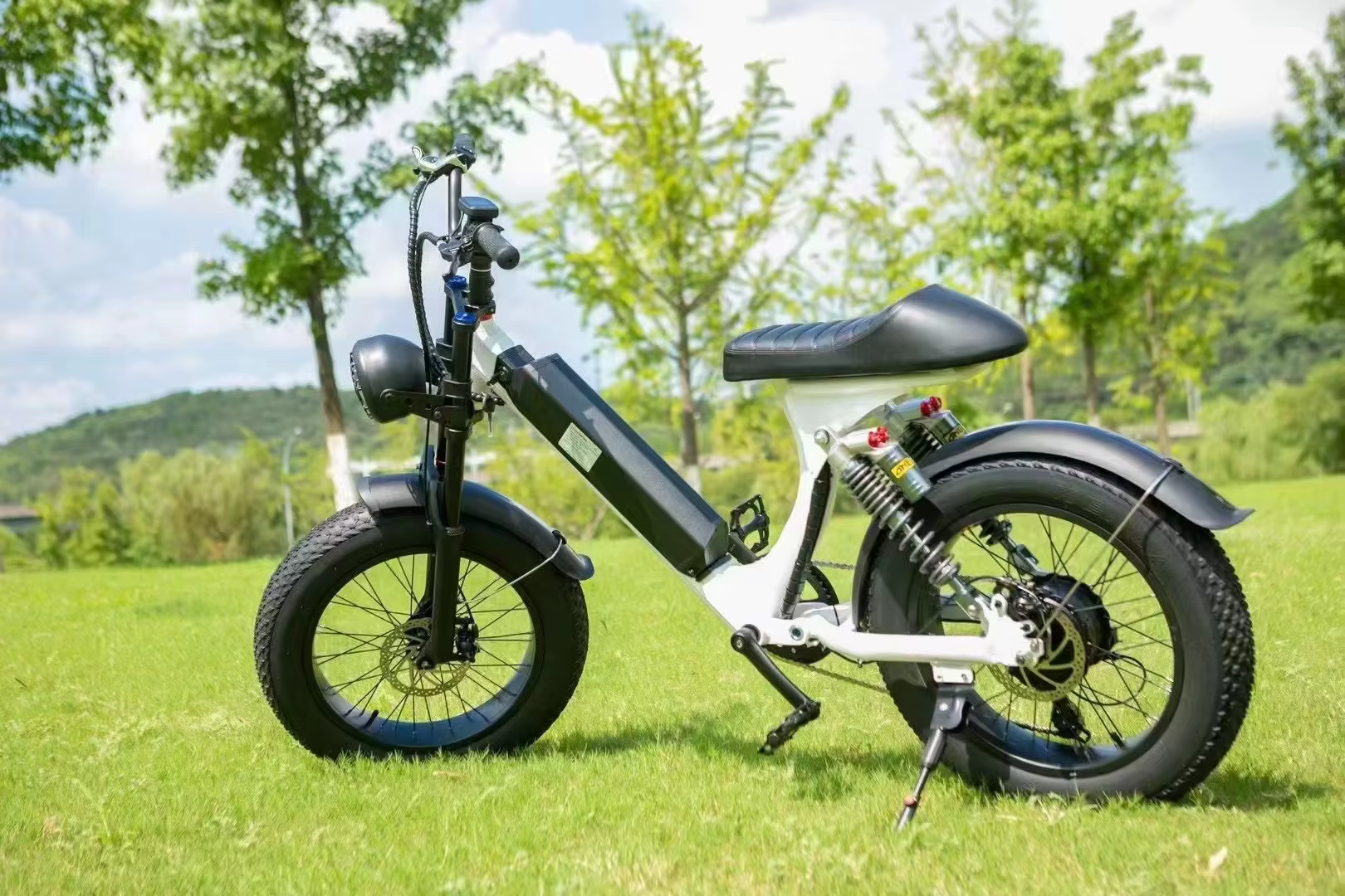 Good And Cheap 20 Inch Thick Tire 500W 48V 12Ah Lithium Battery Electric Bicycle — image 6