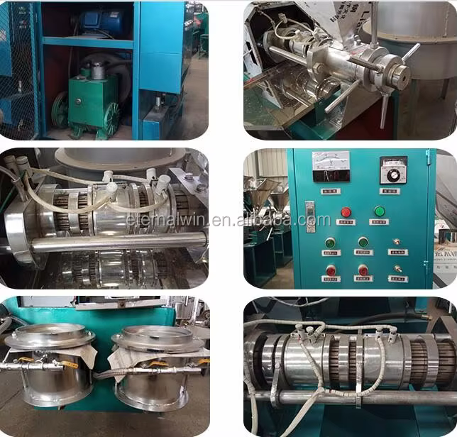 Olive Mustard Oil Cold Press Machine — image 3