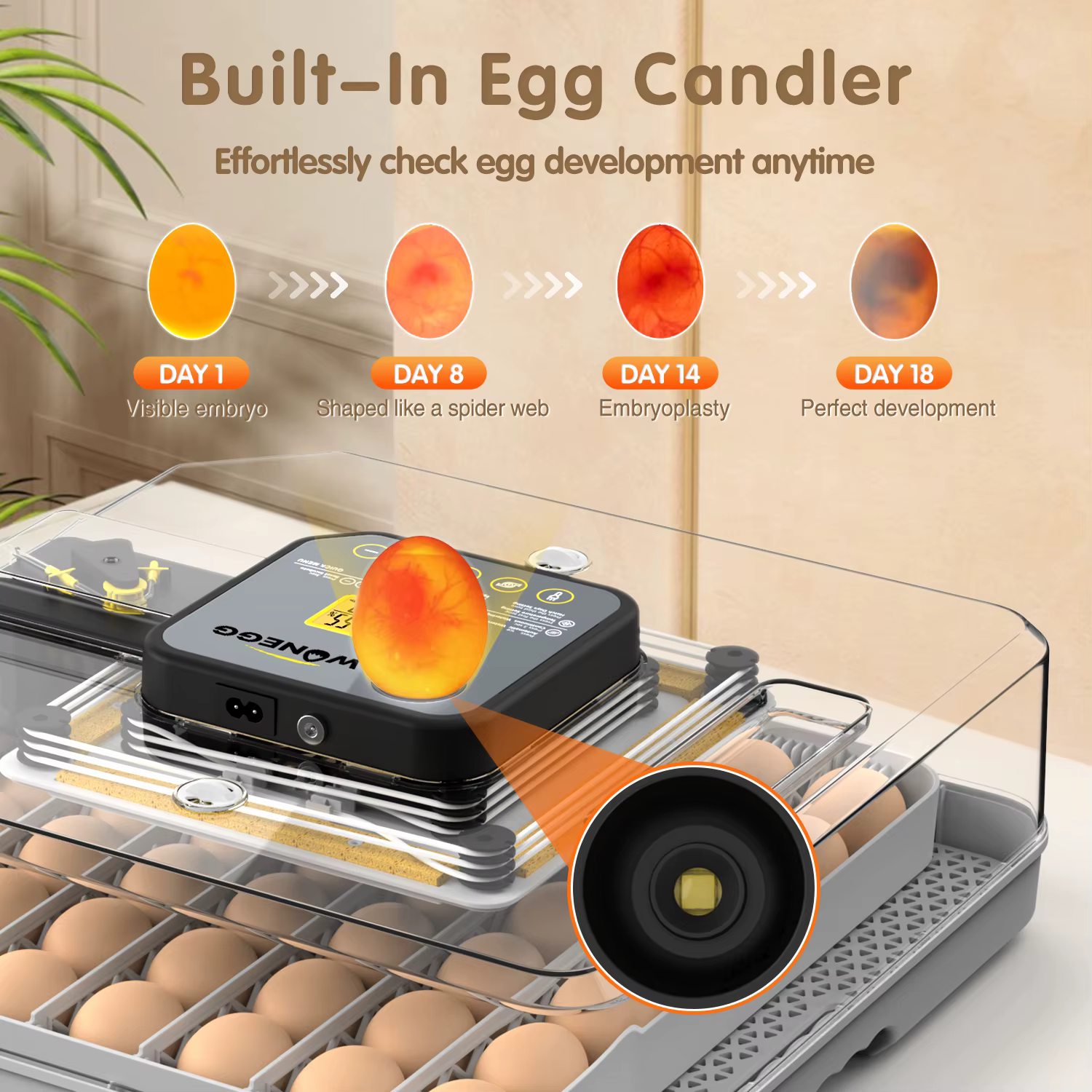 WONEGG Top Sale Humidifier for 48 Egg Incubator — image 3