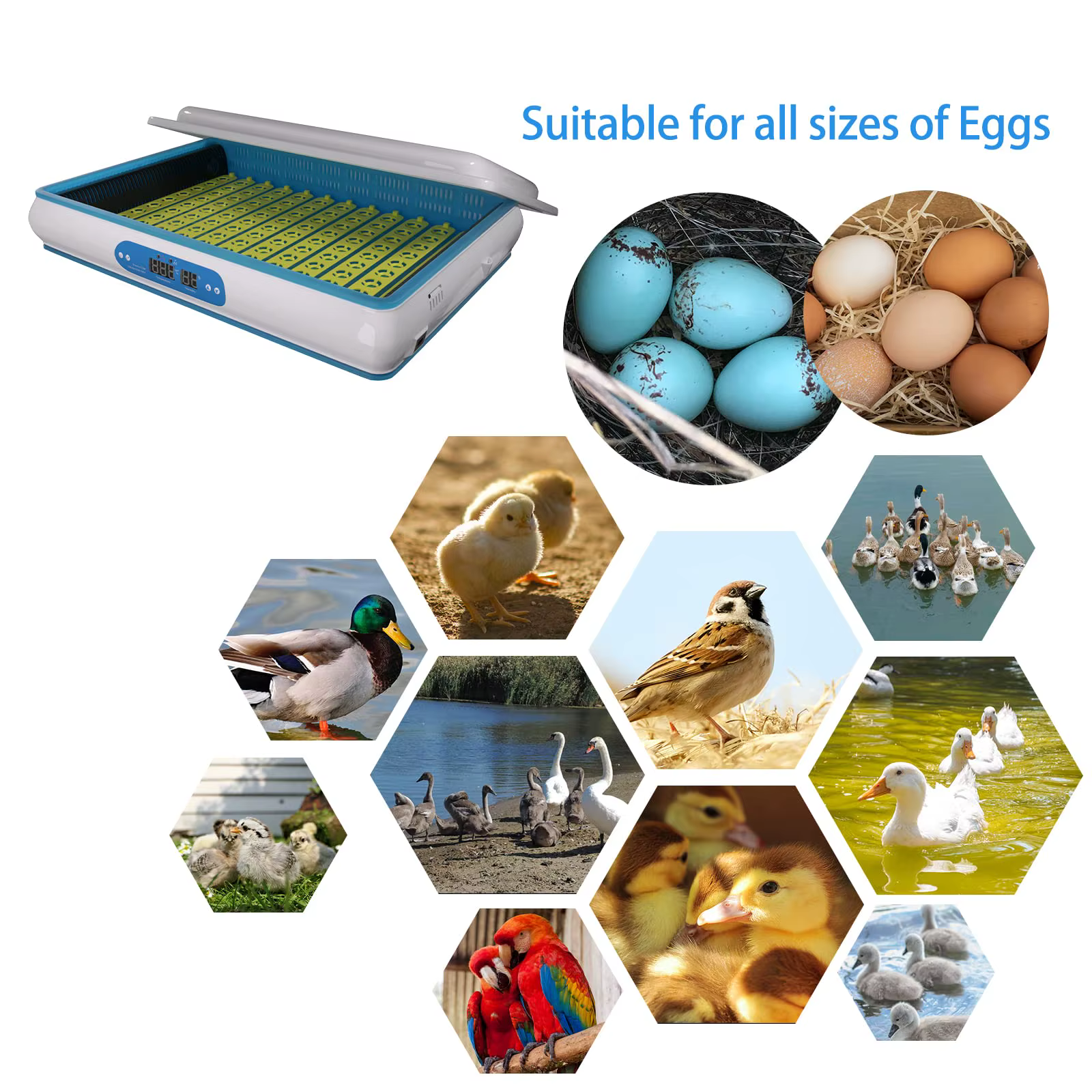 HHD 600 Full Automatic Large Commercial Industrial Chicken Egg Incubator — image 4