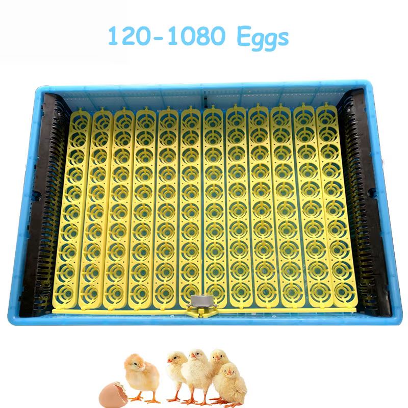 Nanchang HHD 1200 Capacity Quail Egg Incubator — image 3