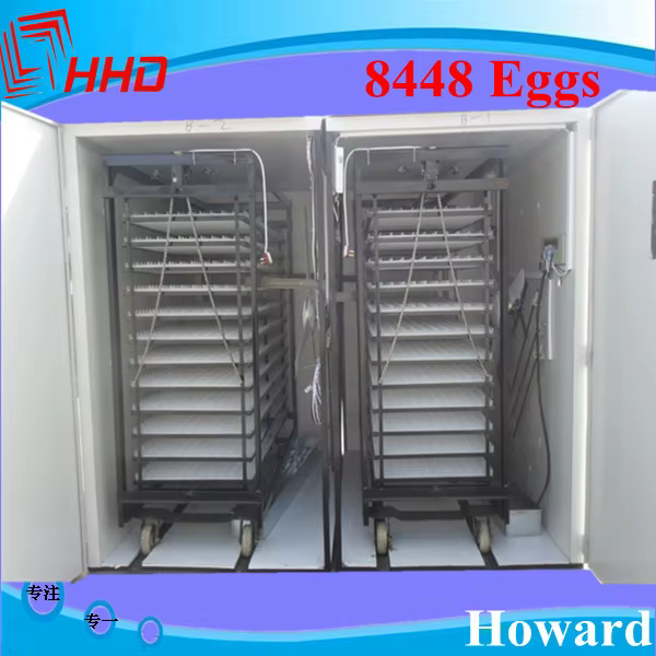 2022 Industrial 10000 Chicken Egg and Quail Egg Incubator and Hatchary Machine — image 2