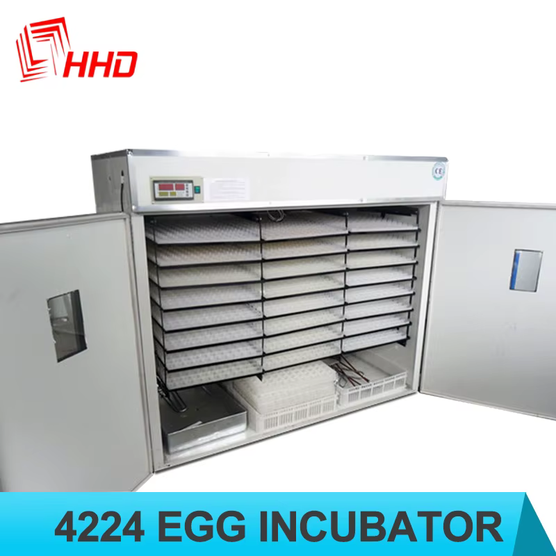 HHD 4000 Chicken Egg Poultry Farm Equipment Machine — image 2