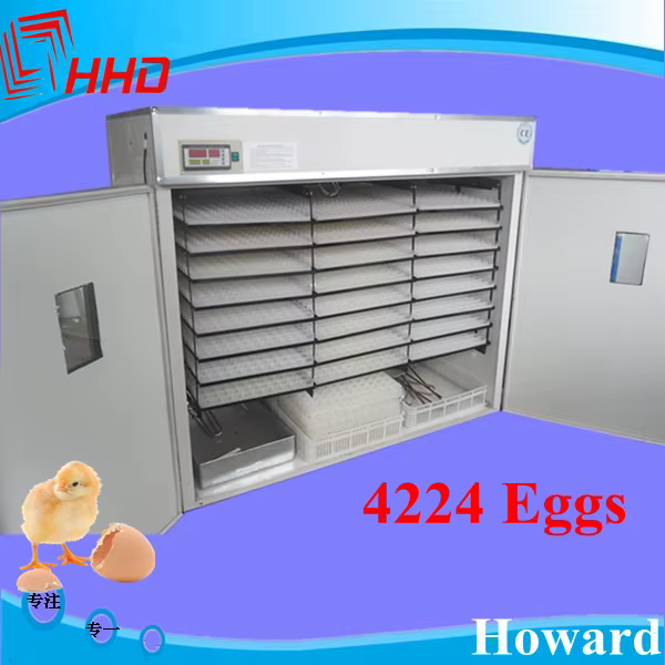 HHD 4000 Chicken Egg Poultry Farm Equipment Machine — image 3