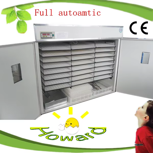 HHD 4000 Chicken Egg Poultry Farm Equipment Machine — image 4